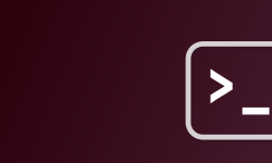 Featured image of post Terminal